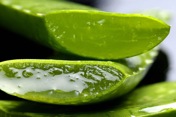 aloe vera for hands