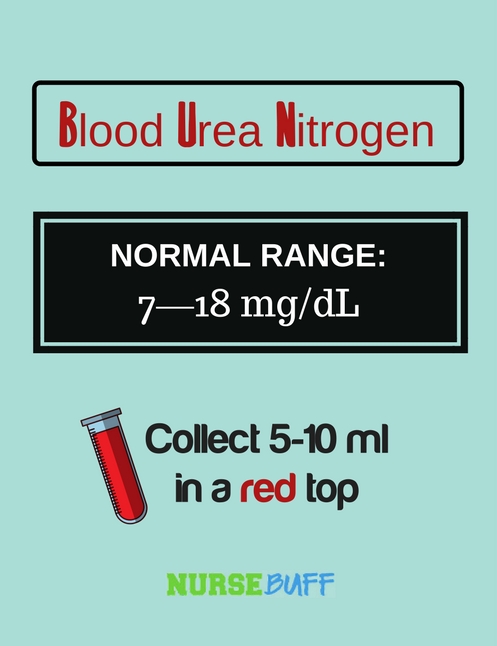 blood urea nitrogen laboratory values