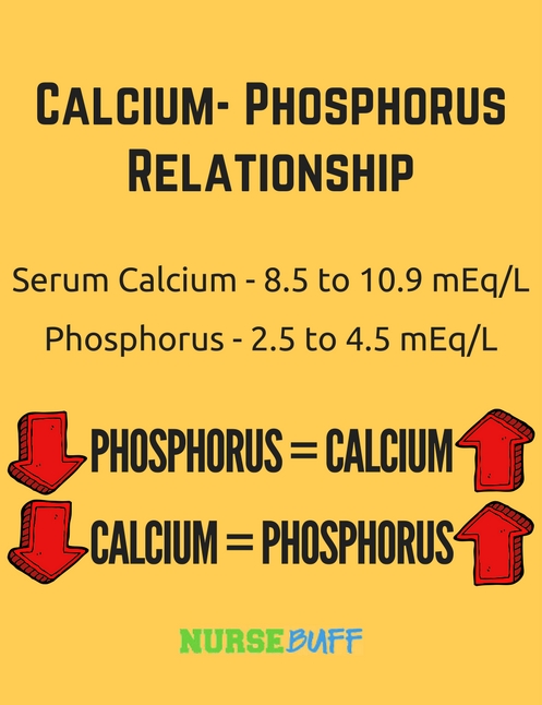 calcium phosphorus laboratory values