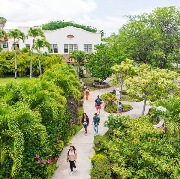 chaminade university of honolulu