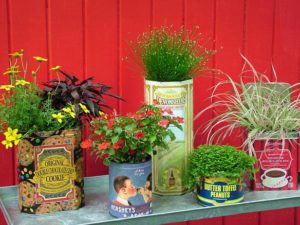 container gardening