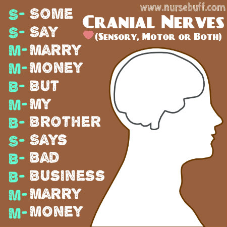 cranial-nerves-nursing-acronym