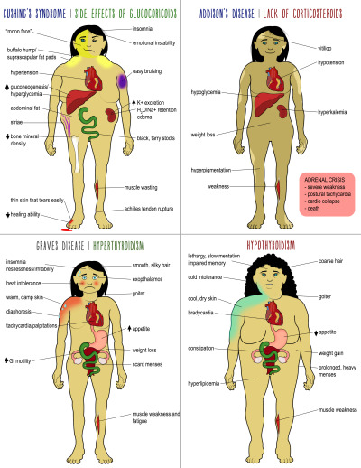 endocrine disorders