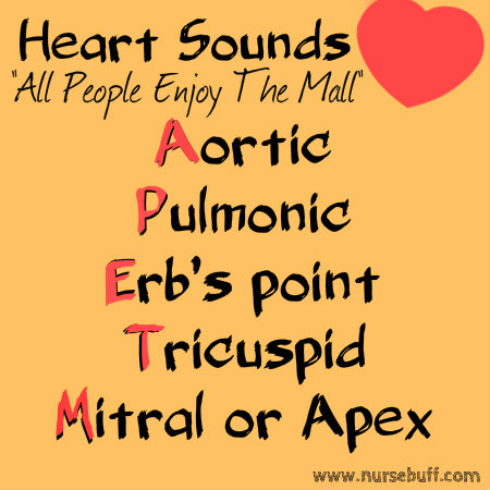 heart-sounds-nursing-mnemonic