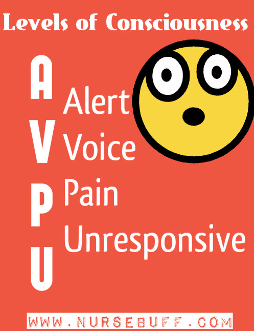 levels-of-consciousness-nursing-mnemonics