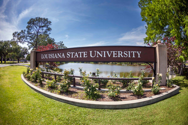 louisiana state university