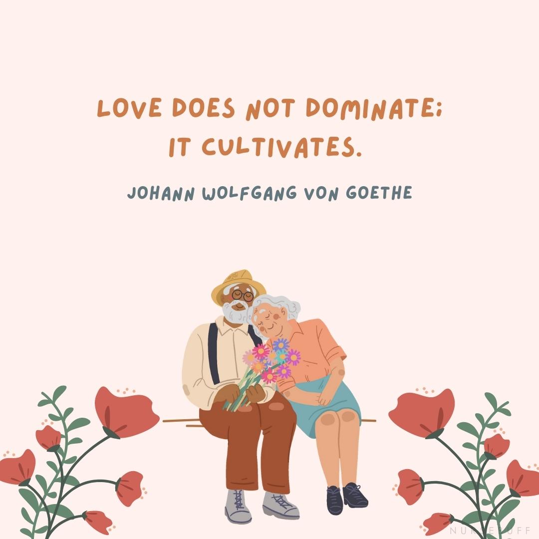 johann wolfgang von goethe quote