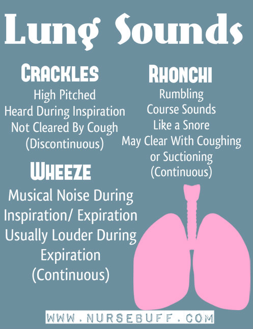 lung-sounds-nursing-mnemonics1