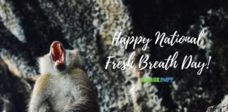 national fresh breath day