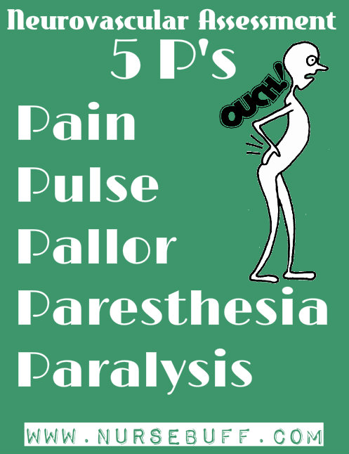 neurovascular-assessment-nursing-mnemonics