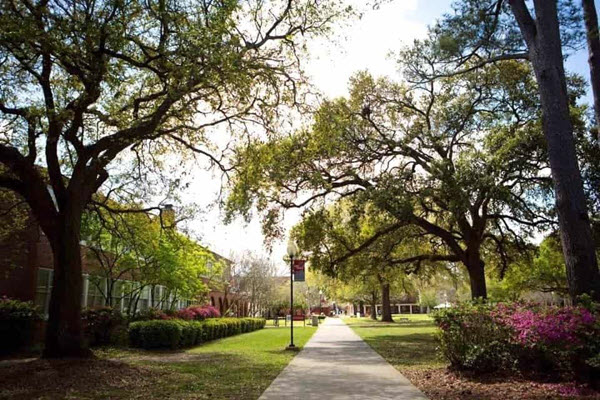 nicholls state university