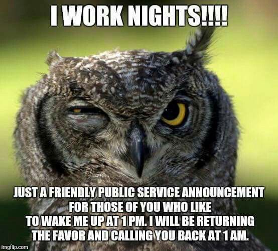 night shift memes owl