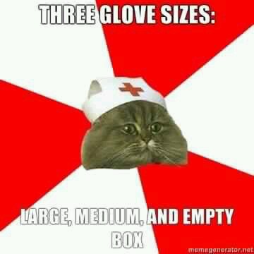 nurse-cat-meme