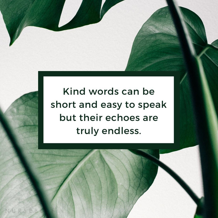 nursing kind words quotes