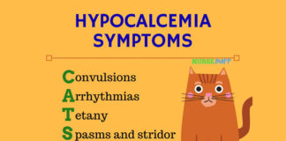 nursing mnemonics