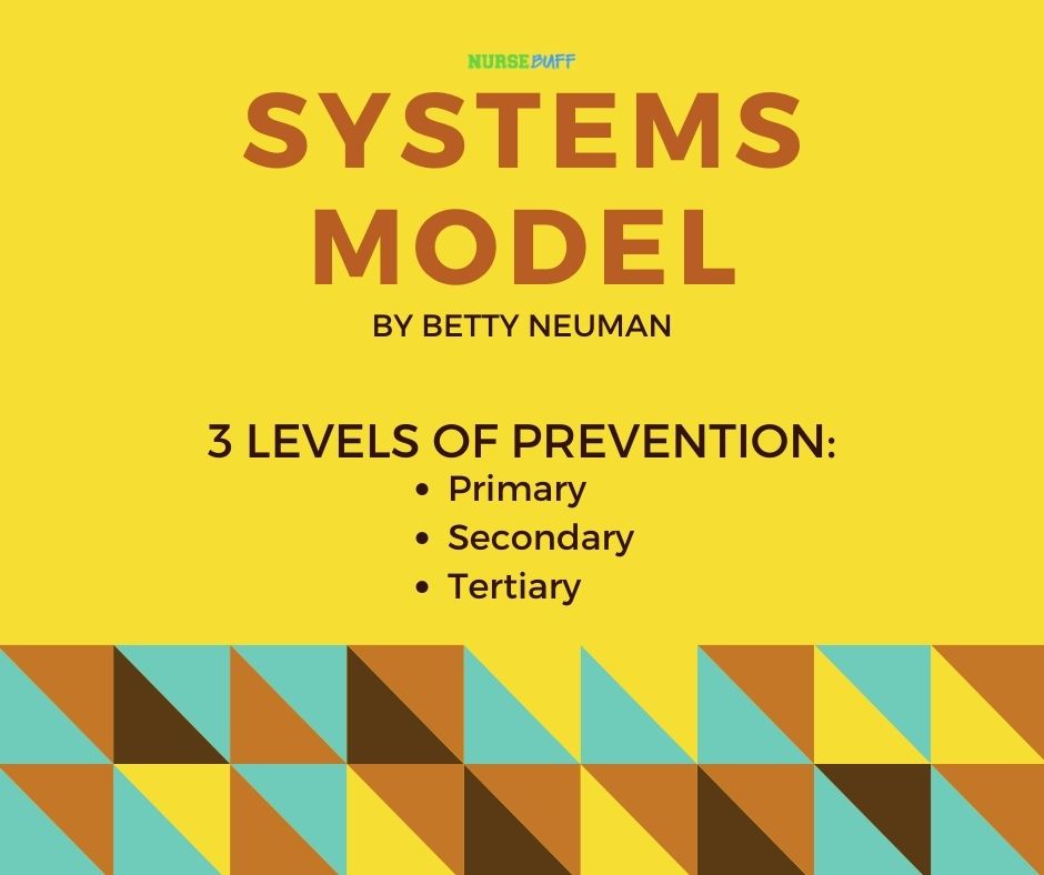 systems model nursing theories