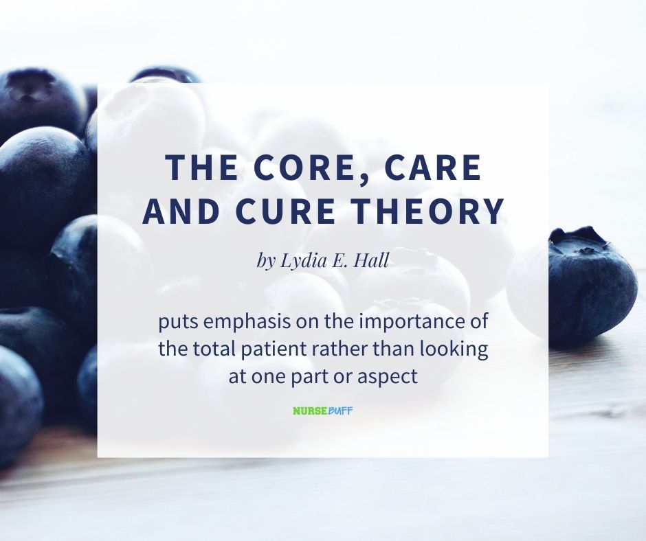 the core care and cure nursing theories