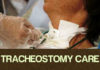 tracheostomy care