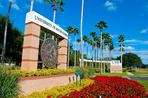 university of south florida