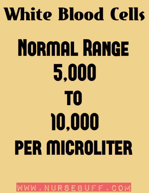 white blood cells normal range